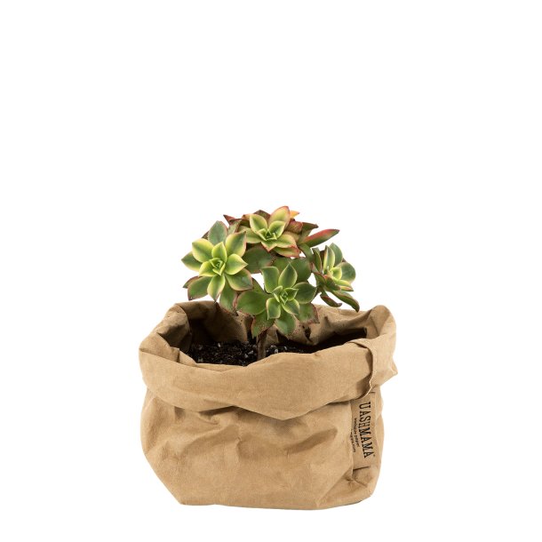 Paperbag Small - Nature