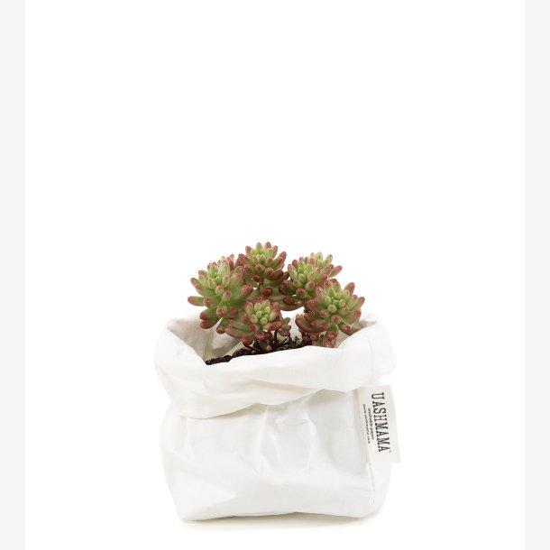 Paperbag Small - White